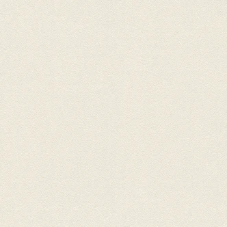 A.S. Création Vliesbehang Trendwall  