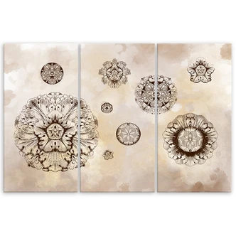 Leinwandbild 3 teilig, Florale geometrische Formen 