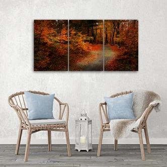 3-delige canvas print Bos Herfst Bladeren Natuur 