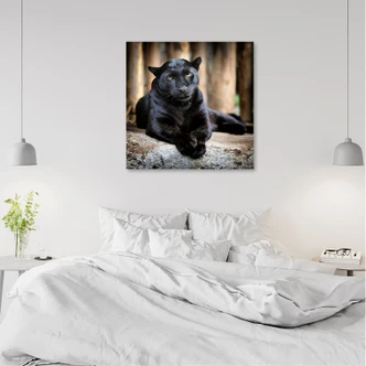 Tableau sur toile, panthère noire 