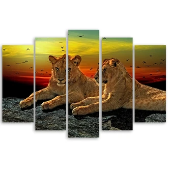 Leinwandbild 5 teilig, Löwen Savanne Afrika Natur 