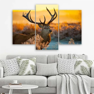 Leinwandbild 3-teilig, Hirsch Tier Sonnenuntergang Natur 