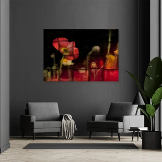 Leinwandbild, Rote Mohnblume 