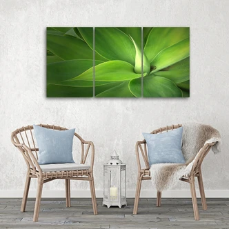 3-delige canvas print groene bladplanten 