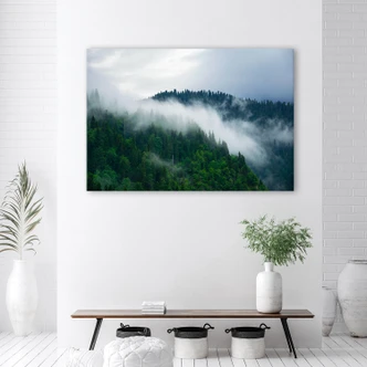 Canvasbillede, Skov i tåge 