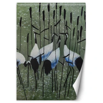 Fototapete, Reiher auf einer Wiese Fototapete, Reiher auf einer Wiese