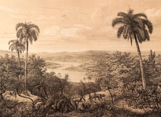 JungleVintage behang in beige crème - vliesbehang Designwalls 2 - 2,55 x 3,5 m 