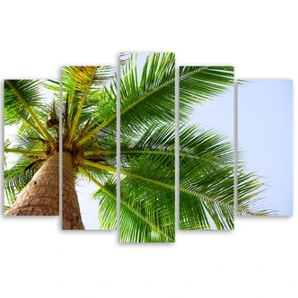 Leinwandbild 5 teilig, Palme Meer Strand 