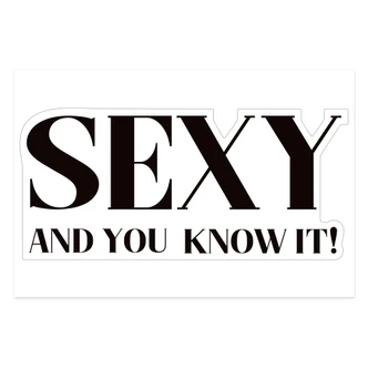 Spiegelsticker, Dekorativer Sticker SEXY AND YOU KNOW IT!  