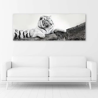 Canvasbillede, Tiger dyreliv natur 
