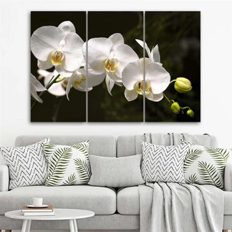 Leinwandbild 3-teilig, Weiße Orchideenblüte 