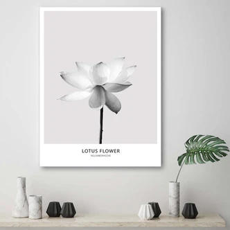 Leinwandbild, Weiße Lotosblume 