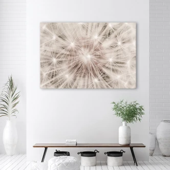Leinwandbild, Pusteblume Natur Makro 