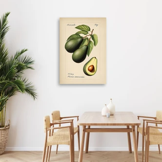 Leinwandbild Obst Weinlese Avocado 
