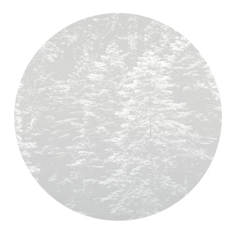 Digitaltapete Hazy Pines in 1,4 m x 1,4 m Fashion for Walls 4 von Guido Maria Kretschmer 