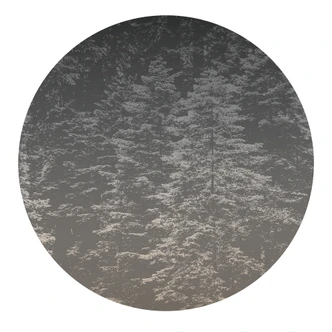 Digitaltapete Hazy Pines in 1,4 m x 1,4 m Fashion for Walls 4 von Guido Maria Kretschmer 