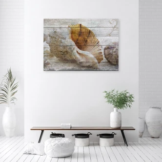 Leinwandbild, Muscheln Vintage Stil 