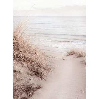 Fotomurale Dune sulla spiaggia - 1X Studio Fotomurale Dune sulla spiaggia - 1X Studio