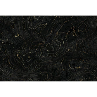 Wall Mural Abstract Lines Black-gold - Amini 