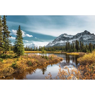 Natur Fototapete Berg-Idylle am zauberhaften Kiefernwald 