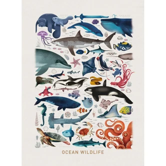 Fototapete Braun - Ocean Wildlife 