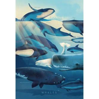 Fototapete Braun - Whales 