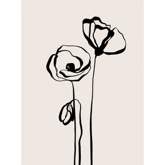 Fototapete Blumentapete Line Art Zwei Mohnblumen - Cats & Dotz 