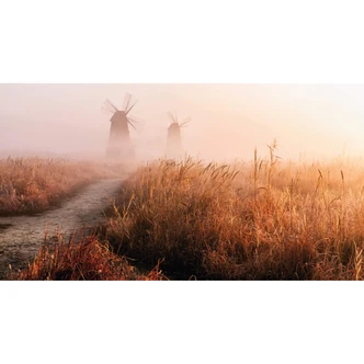 Fototapet Eom - Dimmig morgon - 480x260 cm 