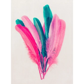 Kubistika - Bukiet piór - Fototapeta z piórami 