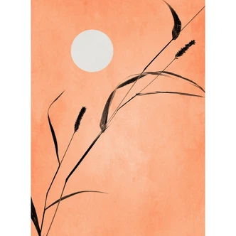 Fototapet Siv i ferskenfarvet solskin - Kubistika Fototapet Siv i ferskenfarvet solskin - Kubistika