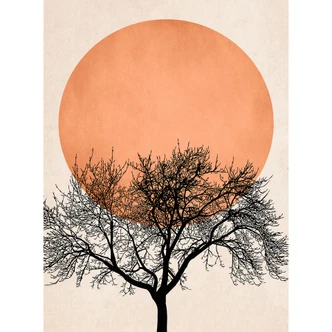 Fototapet Vintermorgen i ferskenfarver - Kubistika Fototapet Vintermorgen i ferskenfarver - Kubistika