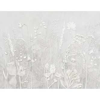 Bloemen Fotobehang - planten in wit in een modern ontwerp - Ms Tiff 
