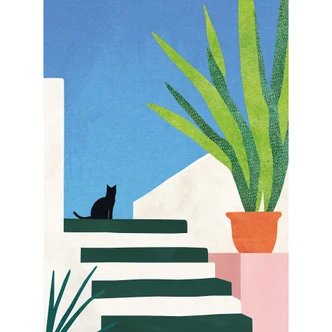 Fototapete Schwarze Katze in Griechenland - Rivers 