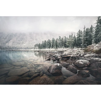Fotomurale Paesaggio - Foresta invernale in riva al lago - Rostovskiy 