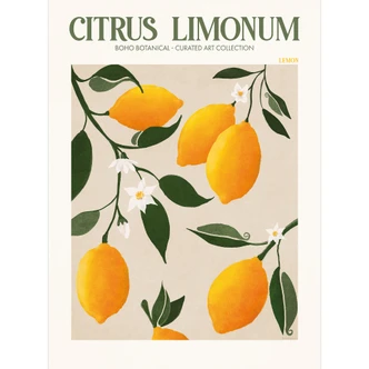 Fotobehang Fruit - Boho citroenboom - Citrus Limonum - Tunaboylu 