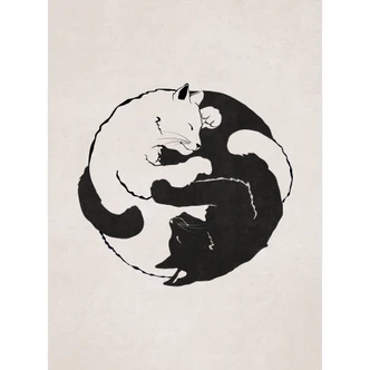 Fototapet Katte Ying & Yang - Tunaboylu Fototapet Katte Ying & Yang - Tunaboylu