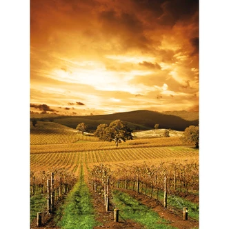 Fototapete Tirol im Herbst - 192x260 cm 