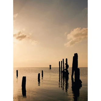 Posts at Sunset - Wall Mural Posts at Sunset - Wall Mural