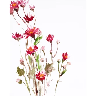 Fototapete Illustrierte Wildblume 