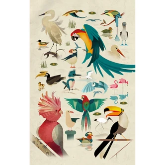 Fototapete Braun - Birds 