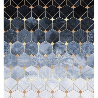 Fotobehang Fredriksson - Hexagons - Blue & Gold 