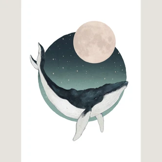 Fotomurale Graves - Megattera 