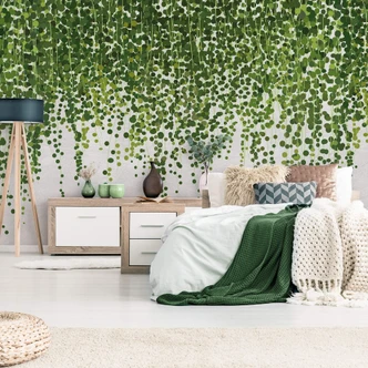 Fototapet - Hængeplanter Fototapet - Hængeplanter