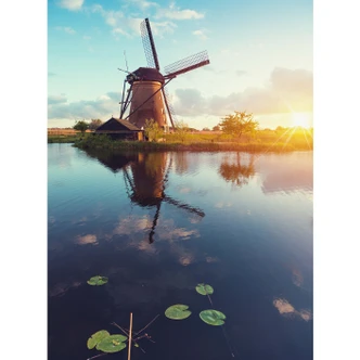 Fototapete Holländische Windmühle 