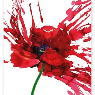 Wall Mural Red Poppy 
