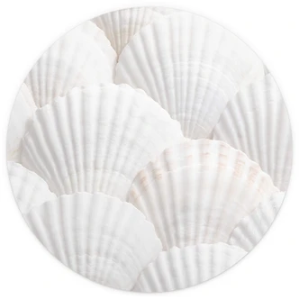 1X Studio - Shell Ensemble - Rund Fototapet - non-woven tapet/självhäftande non-woven tapet 