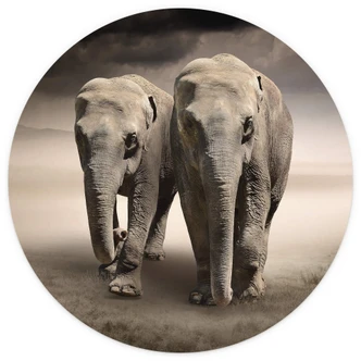 Round wall mural Elephants - non self-adhesive/self-adhesive wallpapers 