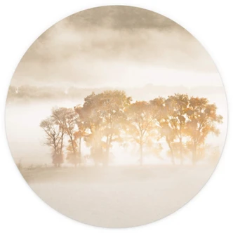 Fototapeta Fan - Burza piaskowa w Górach Skalistych - Okrągła - tapeta flizelinowa/tapeta flizelinowa samoprzylepna Fototapeta Fan - Burza piaskowa w Górach Skalistych - Okrągła - tapeta flizelinowa/tapeta flizelinowa samoprzylepna