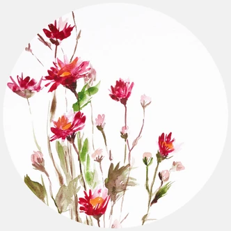 Fototapete Illustrierte Wildblume - Rund - Selbstklebend/Vlies 