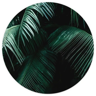 Fototapete Tropische Botanik - Rund - Selbstklebend/Vlies 